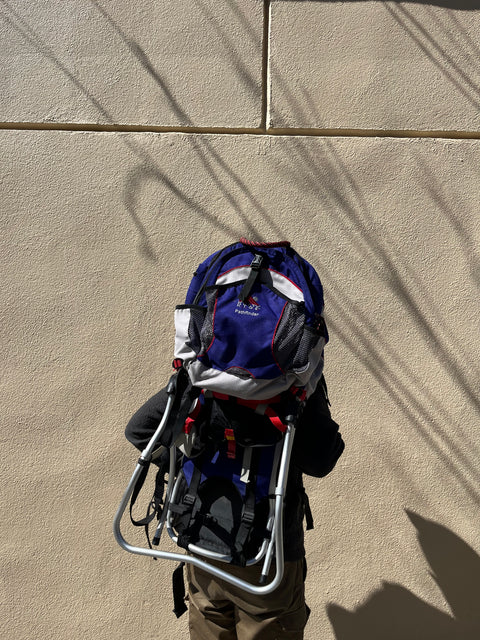 Serious Kelty Kids Backcountry Backpack Carrier