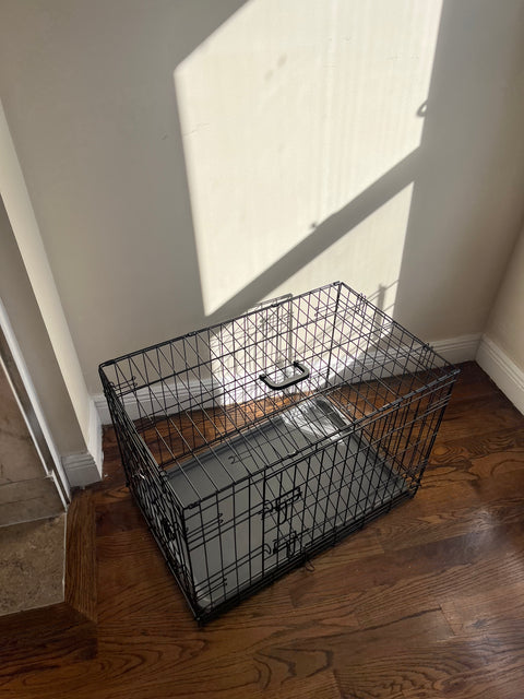 Foldable Dog Crate, W19xL30xH22"