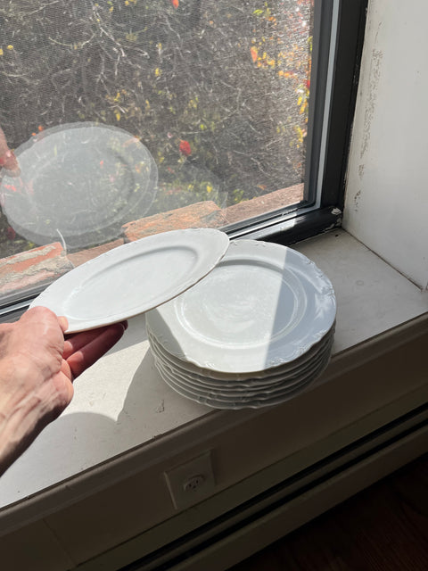 Classic White Dinner Plates Set, 8