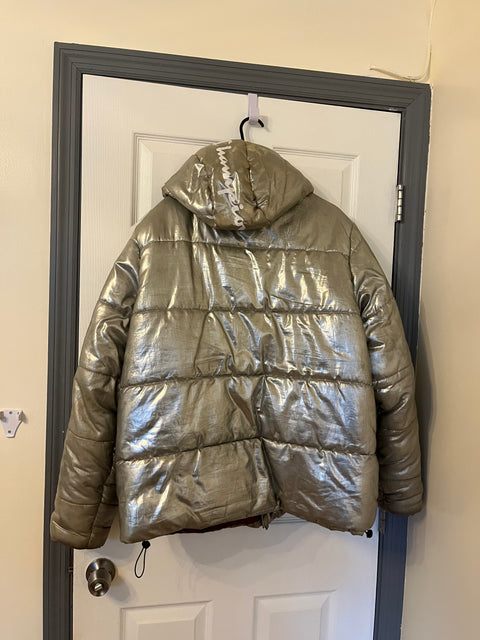 Vintage Champion x NASA Metallic Puffer Jacket, Size Men XL