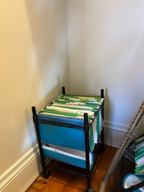 Another Rolling File Folder Organizer, W13xD16xH17"