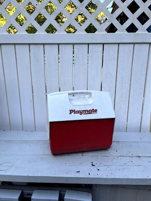 Igloo Playmate Cooler