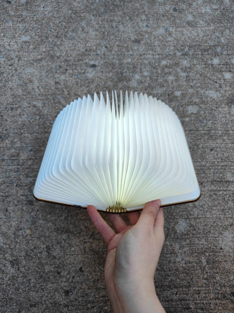 Illuminated Book Lamp