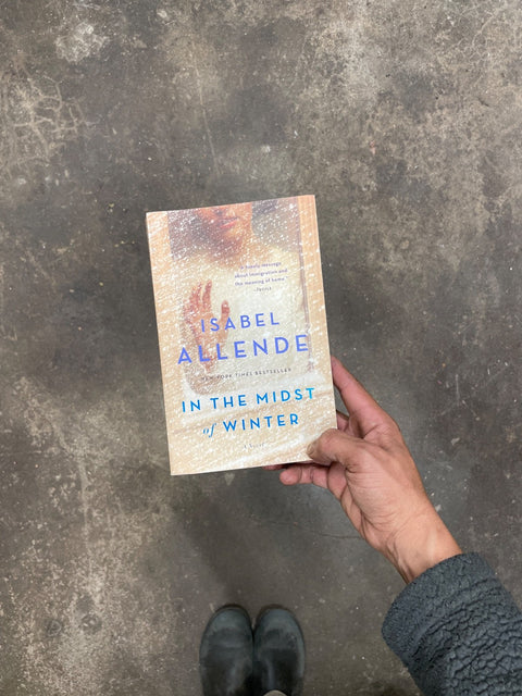 In The Midst Of Winter by Allende