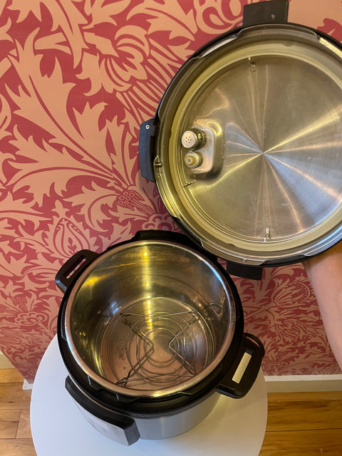 Instant Pot Duo Plus