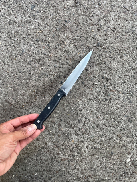 Japanese Serrated Steak Knife
