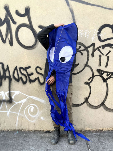 Jellyfish Skyborne Kite