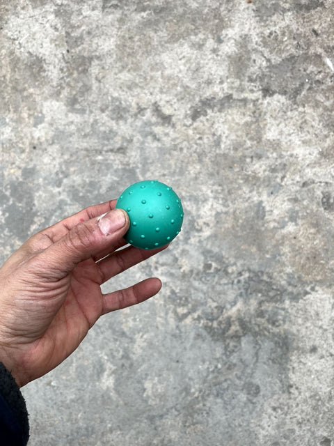 Jiggly Dog Toy