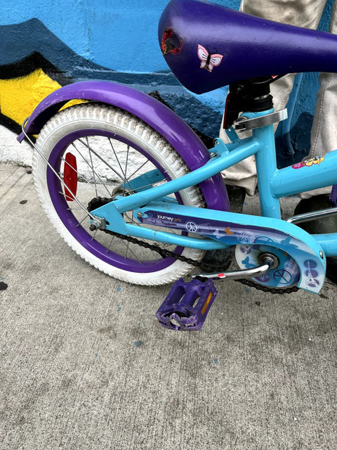 Journey Kids Bike, 16"