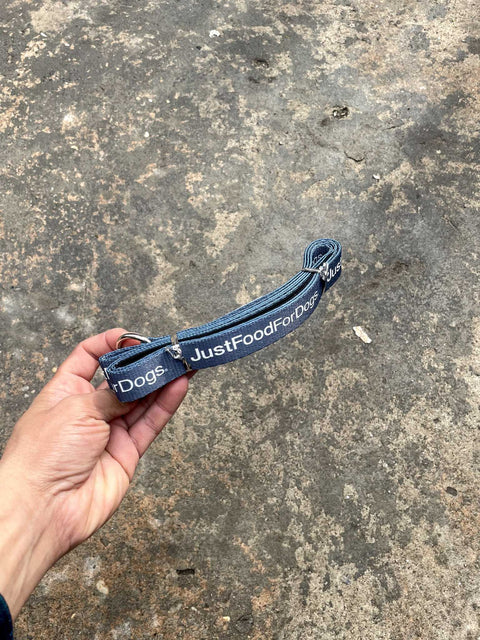 Just Food For Dogs Leash