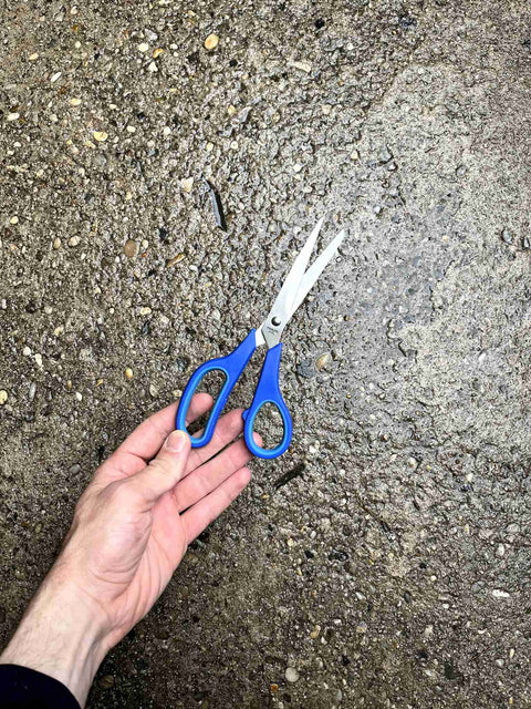 Just Some Blue Scissors