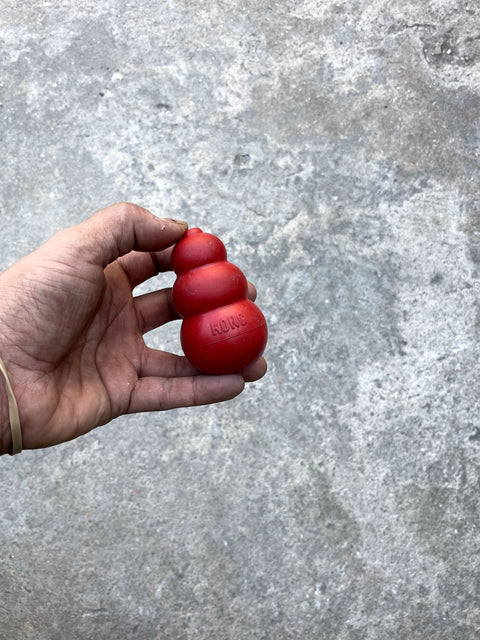 KONG Classic Dog Toy