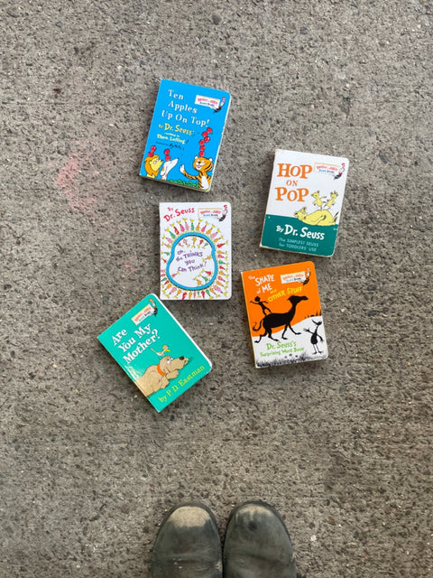 Kids' Dr. Seuss Book Collection