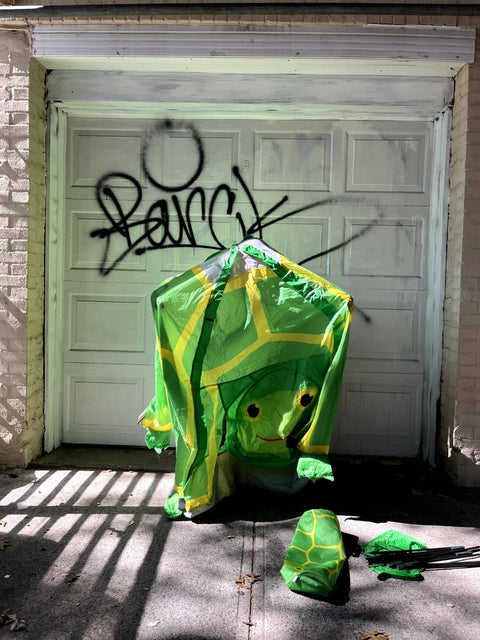 Kids Turtle Tent With Carry Bag
