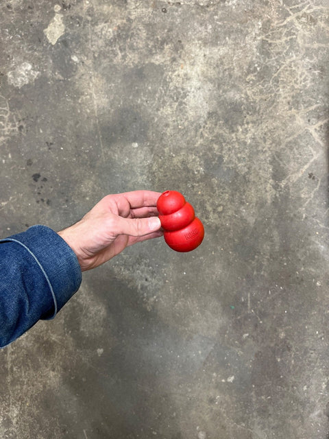 Kong Classic Dog Toy