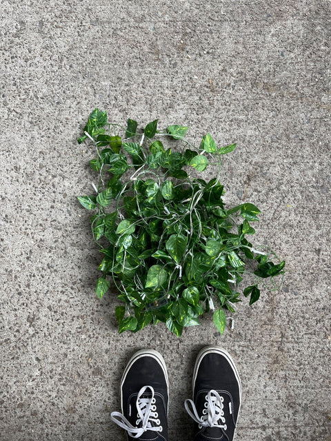 LED String With Artificial Ivy