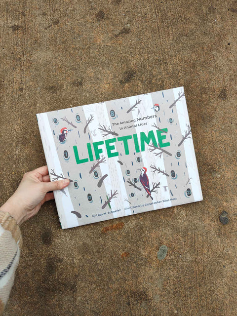 Lifetime by Lola M. Schaefer