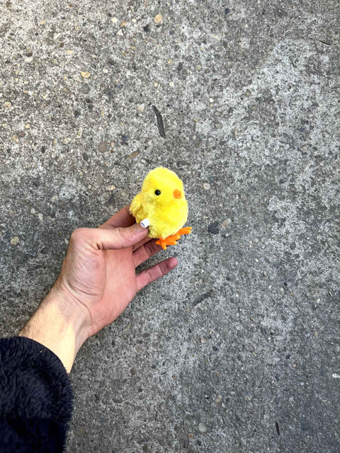Lil' Chick That Walks
