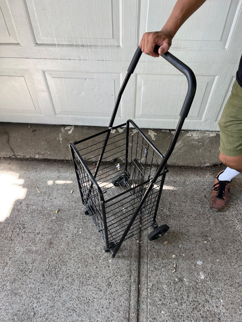 Lil' Rolling Shopping Cart