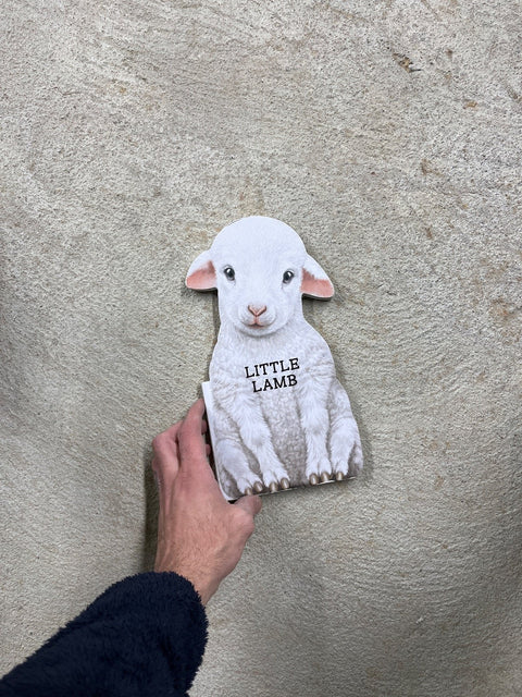 Little Lamb Book