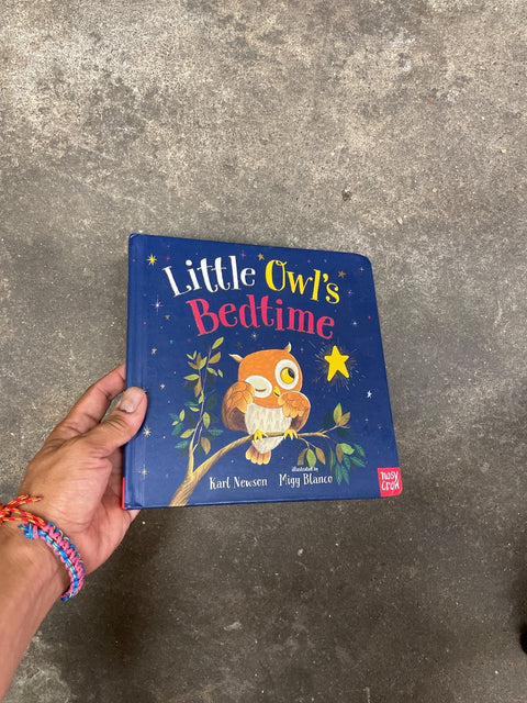 Little Owl's Bedtime By Newson