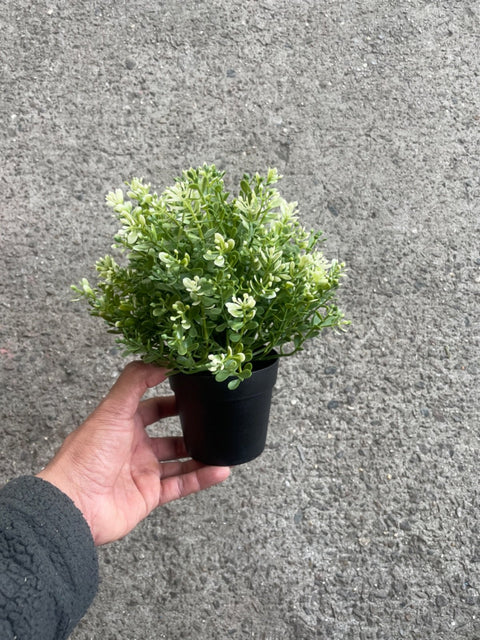 Little Potted Faux Greenery