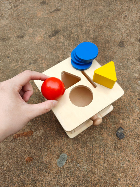 Lovevery-esque Wood Toy with Shapes