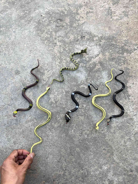 Mad Toy Snakes