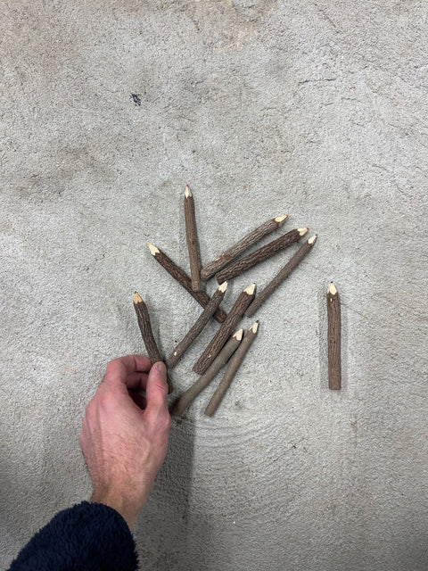 Made Out Of A Tree Colored Pencil Set