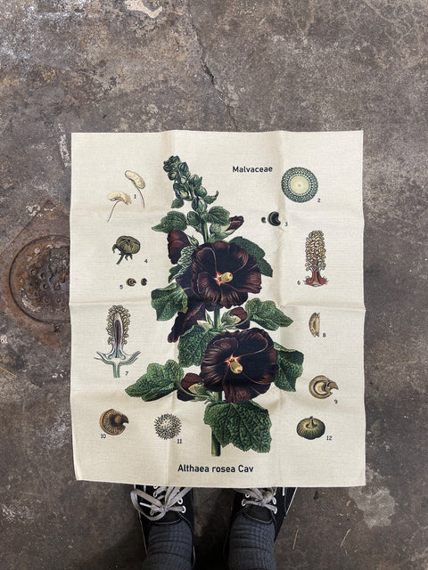 Malvacea Botanical Fabric Print