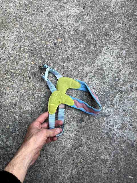 Maogoublue Island V-Shaped Dog Harness Size S