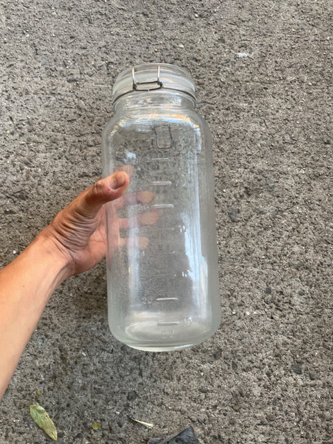 Mason Glass Jar, Large