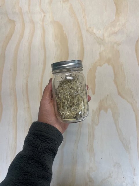 Mason Jar of Porcupine Needles