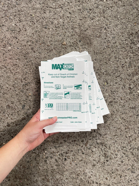Max Catch Glue Traps