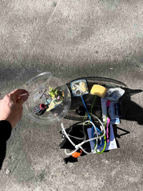 Mini Fish Tank Kit