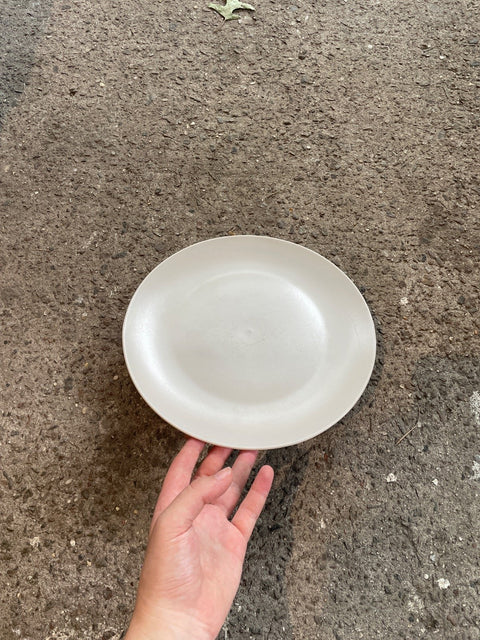 Minimalist Everyday Dinner Plate