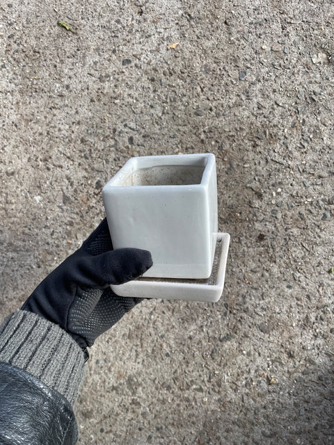 Minimalist Square Ceramic Planter
