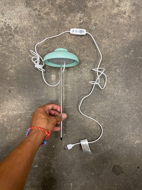 Mint Green Plant Grow Light