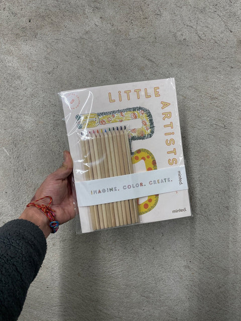 Minted Little Artists Set