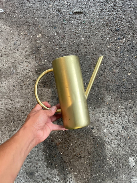 Modern Gold Watering Can