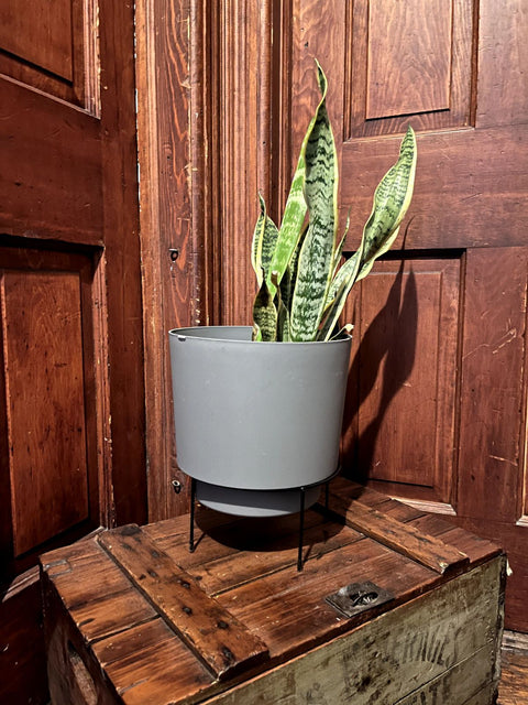 Modern Plastic Planter With Black Metal Stand