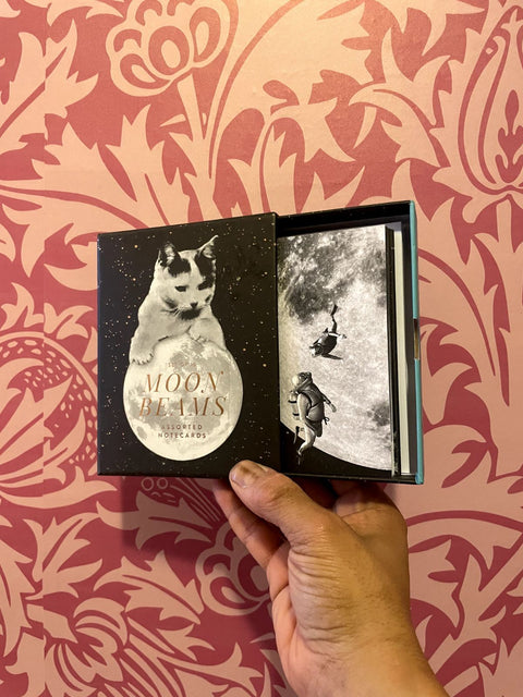 Moon Beams Notecard Set