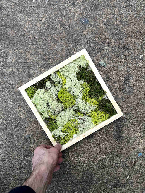 Moss Wall Art