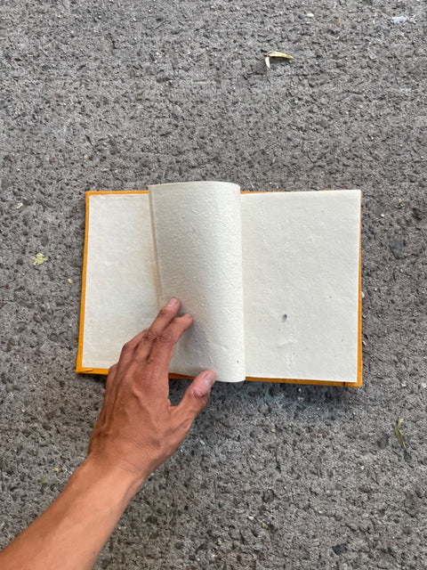 Nepal Travel Journal
