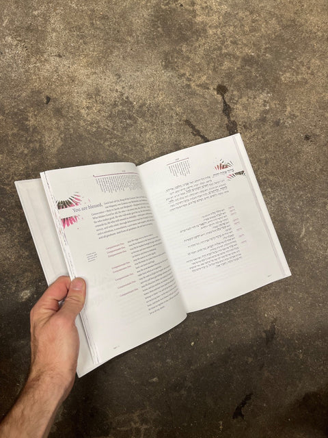 New American Haggadah Book