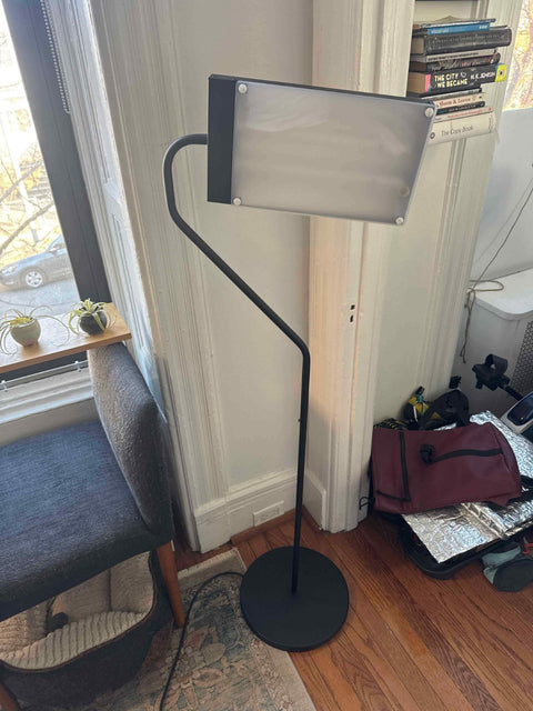 Northern Light Technologies Flamingo 10,000 Lux Bright Light Therapy Floor Lamp