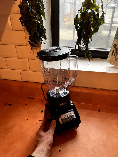 Oster Kitchen Blender