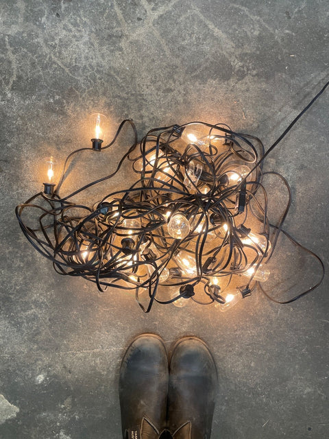 Outdoor String Lights Ready To-Go