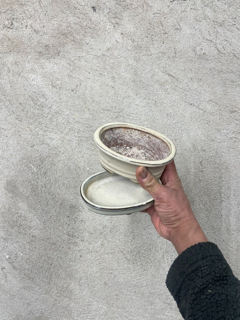 Oval Ceramic Planter & Tray