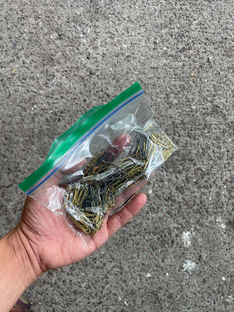 Paperclips Galore In Bag